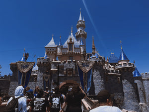 Disneyland - Summer '24